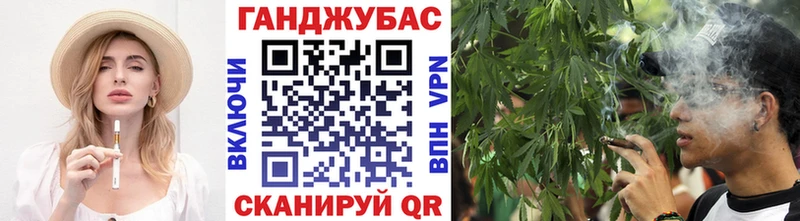 Шишки марихуана сатива  Пересвет 